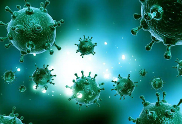 Characteristic analysis of air particulate matter